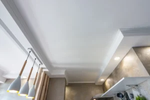 Kitchen Ceiling Design