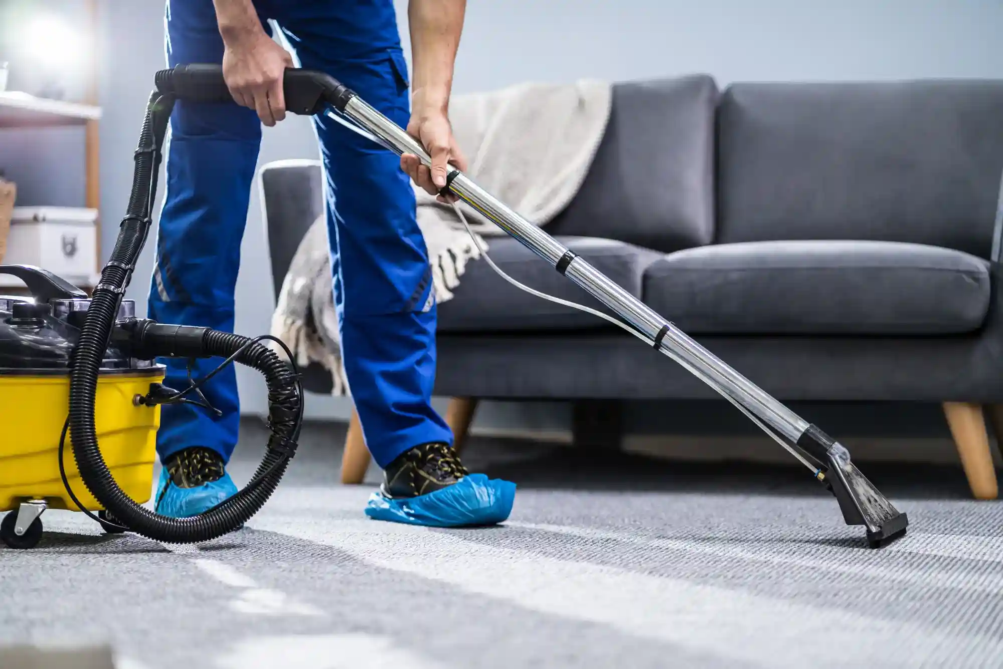 Seasonal Rug Cleaning Discounts